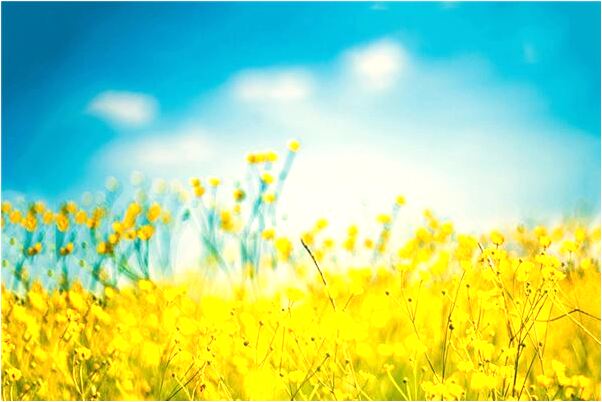 夢見兒子背柴砸到腳是吉兆嗎?_周公解夢官網