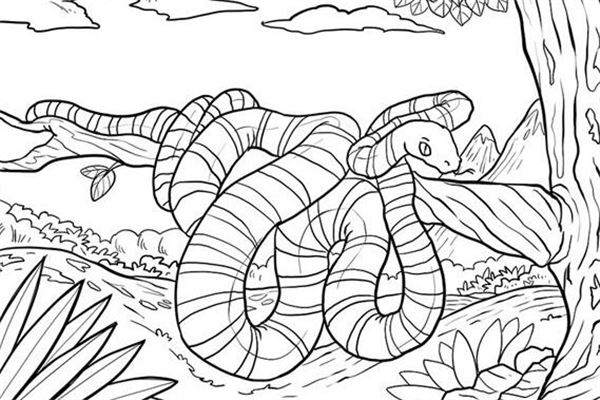 夢到了白色蛇怎么樣_周公解夢