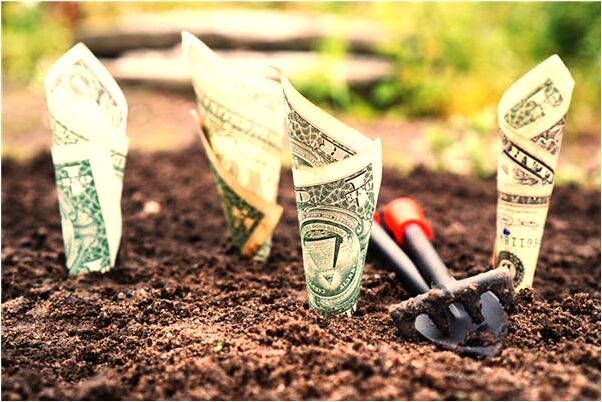 夢到了情人在房間捉知了預兆了什麼嗎_周公解夢官網