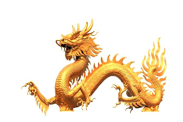 夢見打柴火是凶兆還是吉兆_周公解夢官網