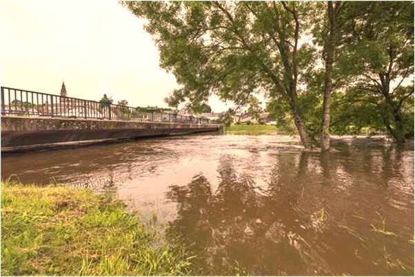 夢見小偷手機是好的徵兆嗎_周公解夢官網