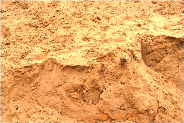 夢到夢中有殭屍會是什麼預兆_周公解夢官網