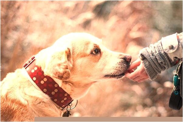 夢到從腳上扒皮是咋回事_周公解夢官網