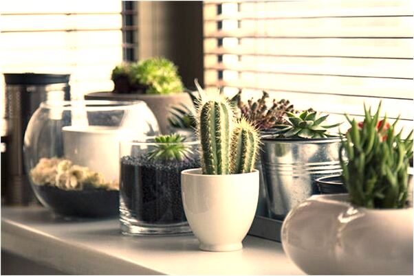 夢到了和情人在我家裡睡覺是什麼意思_周公解夢官網