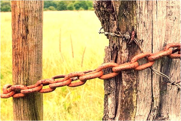 夢見自己死去的奶奶活了是什麼意思_周公解夢官網