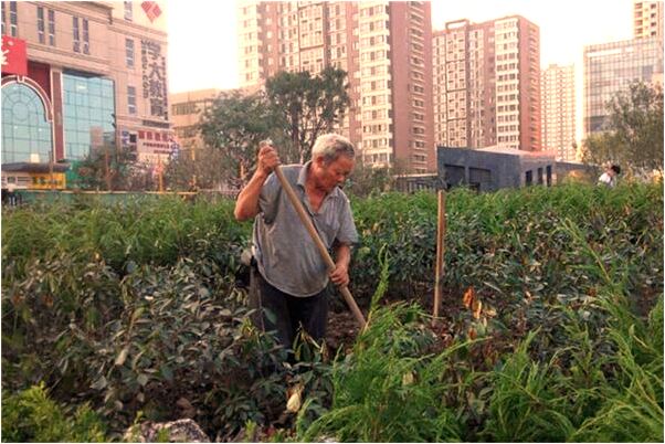 夢到敵人的照片會動代表著什麼_周公解夢官網
