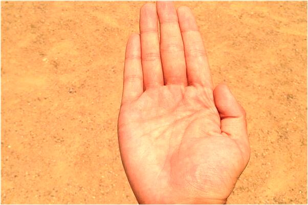 夢到小溪大河霧蒙蒙鴨子是什麼意思_周公解夢官網