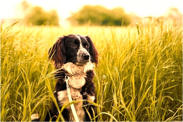 夢見別人的眼珠被挖是好的徵兆嗎_周公解夢官網