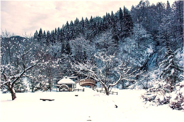 夢到有人讓幫忙砍樹是什麼預兆_周公解夢官網