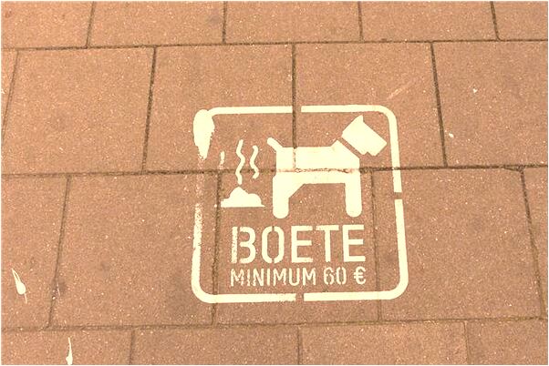 夢到了前夫肚子很大意味什麼_周公解夢官網