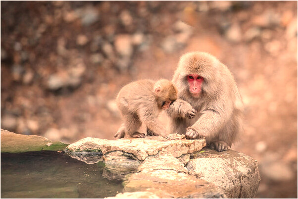 夢到了水漫住所意味著什麼_周公解夢官網