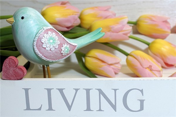 夢見彩鳥有什麼意思_周公解夢