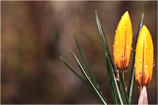 夢見在牆頭上下不去意味著什麼_周公解夢官網