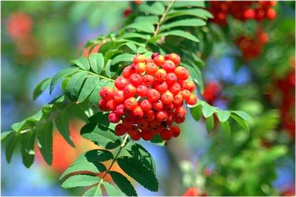 夢到了看別人做愛自己高潮是啥意思_周公解夢官網