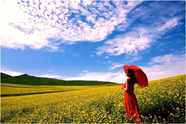 夢見自己肚子裂開沒出血有什麼意思嗎_周公解夢官網