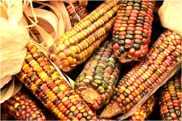 夢到媽媽我流產了是啥意思_周公解夢官網