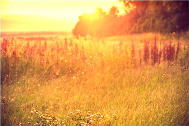 夢到了穿女兒的托鞋是什麼兆頭_周公解夢官網