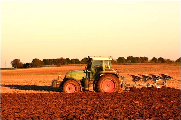 夢到了右面石牙鬆弛還出血是好的徵兆嗎_周公解夢官網