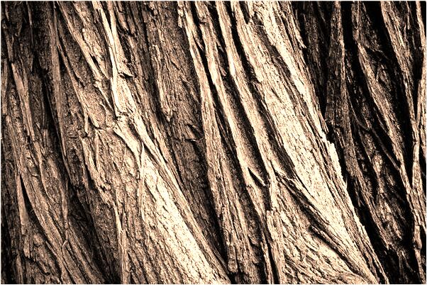 夢到了換房間鋪被子代表什麼_周公解夢官網