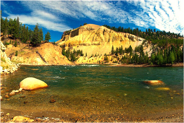 夢到了好多披麻戴孝的代表什麼_周公解夢官網