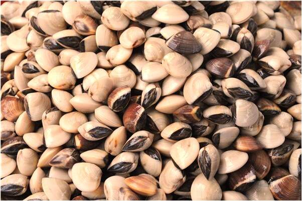 夢見屎中有錢是什麼徵兆_周公解夢官網