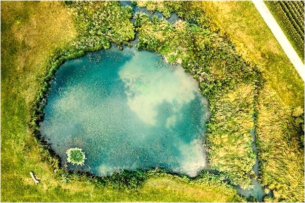 夢到奶奶要離開好不好_周公解夢官網