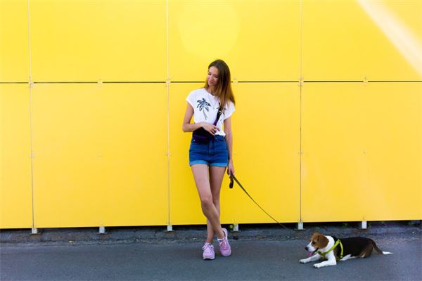 1997屬牛一生運勢_十二生肖