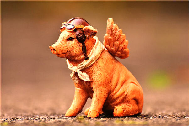 夢到韭菜苔有什麼預兆_周公解夢官網