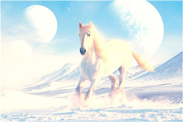 夢到經理親我是好事還是壞事_周公解夢官網