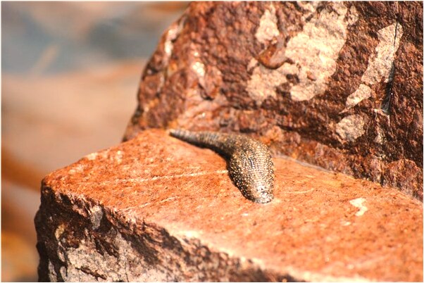 夢到了在車裡用手摸女同事的下體有什麼寓意嗎？_周公解夢官網