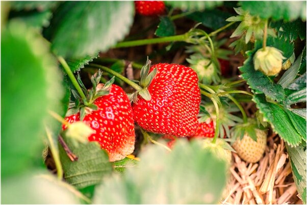 夢見和我有關的人相繼死亡是好是壞_周公解夢官網