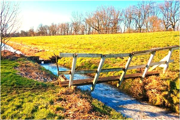 夢見撞見祖宗牌位會是什麼預兆_周公解夢官網