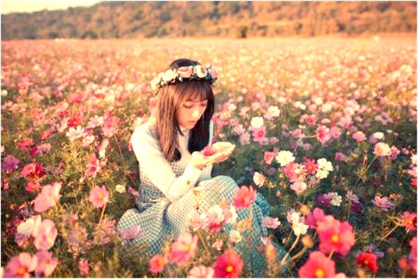 夢到魚死了附生是什麼預兆？_周公解夢官網