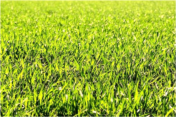 夢到換電視是什麼徵兆_周公解夢官網