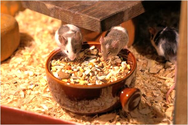 夢到了情人的老公尿床是什麼預兆_周公解夢官網