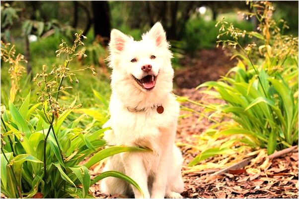 夢見老婆跟我說愛上了別人是好的徵兆嗎_周公解夢官網