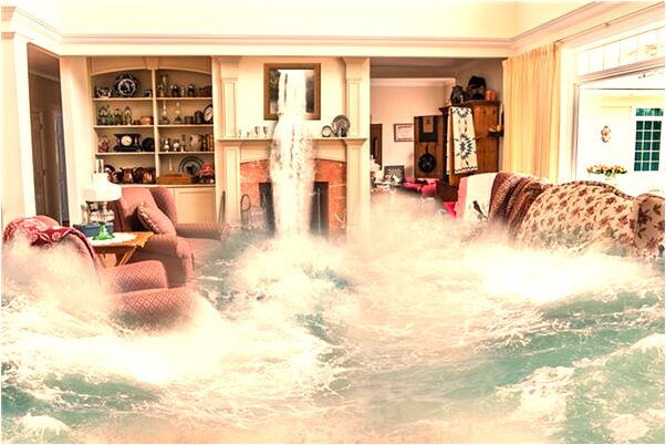 夢見蛇咬肚子一口有何寓意_周公解夢官網