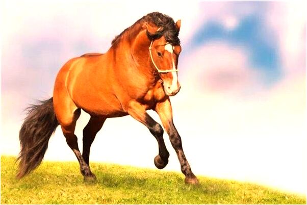 夢見保護我的人和我吃聖女果是什麼意思_周公解夢官網