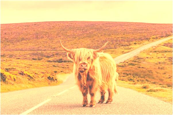 夢到手上劃了一道特別深的傷口怎么樣_周公解夢官網