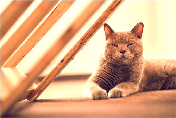 夢到了走泥路找親人有什麼意思_周公解夢官網