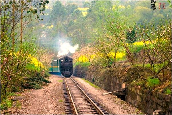 夢見一個老女人說自己背上有蛇代表什麼_周公解夢官網