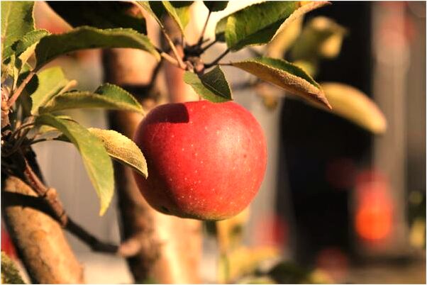 夢到了紙盒箱是好是壞_周公解夢官網