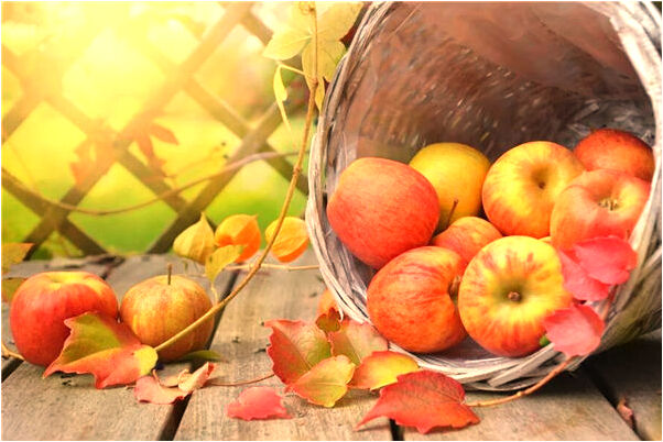 夢見和曾經的閨蜜打架預示什麼_周公解夢官網