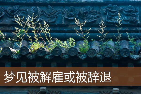 夢見被解僱或被辭退_周公解夢