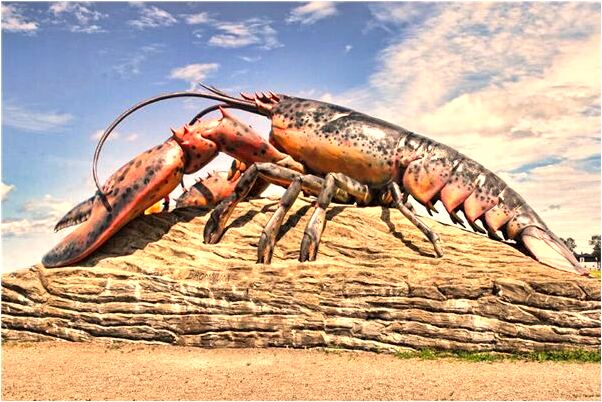 夢見醫生叫我終止妊娠意味什麼_周公解夢官網