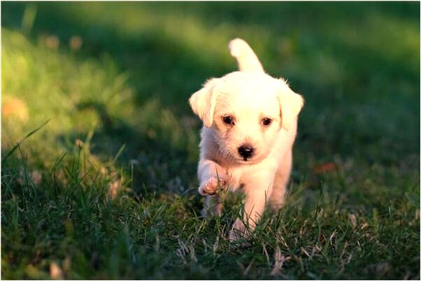 夢到了骨灰下葬意味著什麼_周公解夢官網