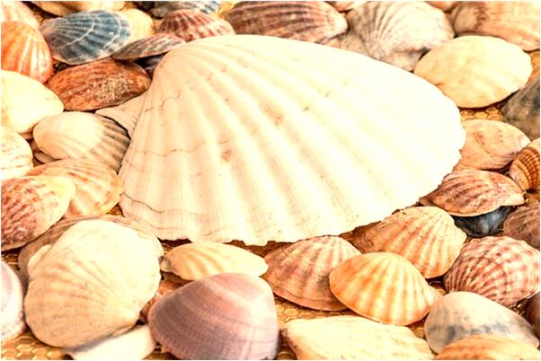 夢到母親給我錢會怎么樣_周公解夢官網