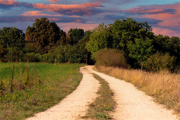 夢到了黃土路是不是好的徵兆呢_周公解夢