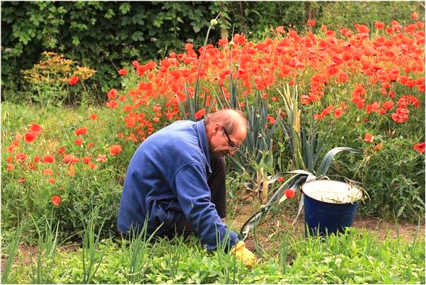 夢到了出門要點香有什麼意思嗎_周公解夢官網