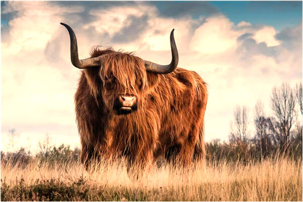 夢到殭屍翻窗進屋會有什麼預兆_周公解夢官網